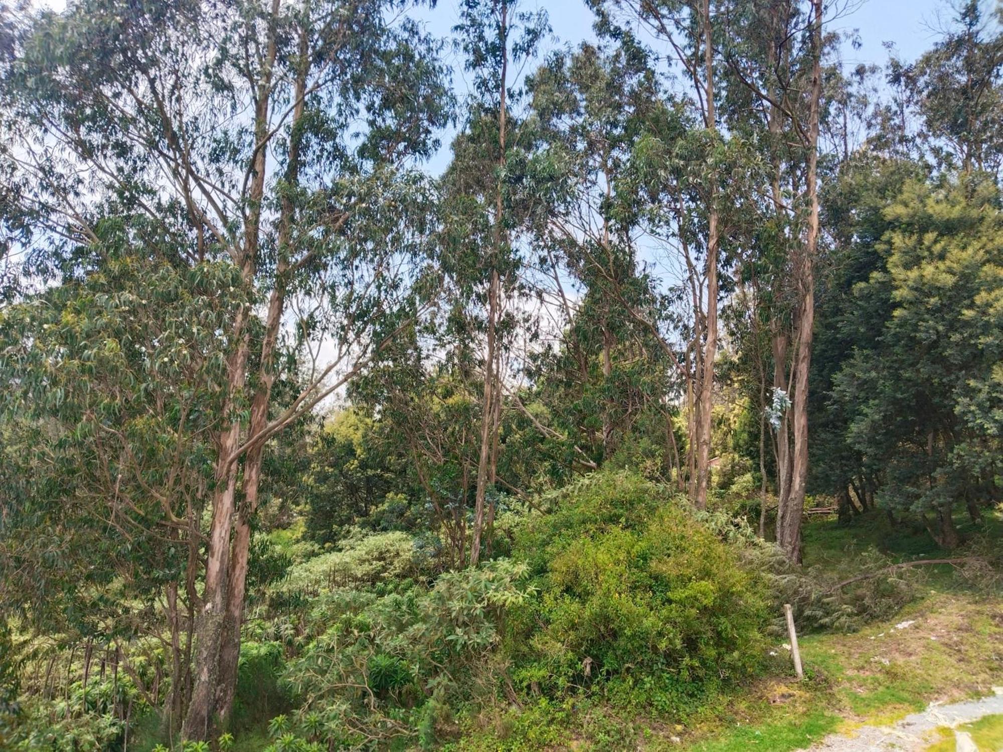 Bs Dreamz Ooty Apartment Exterior photo